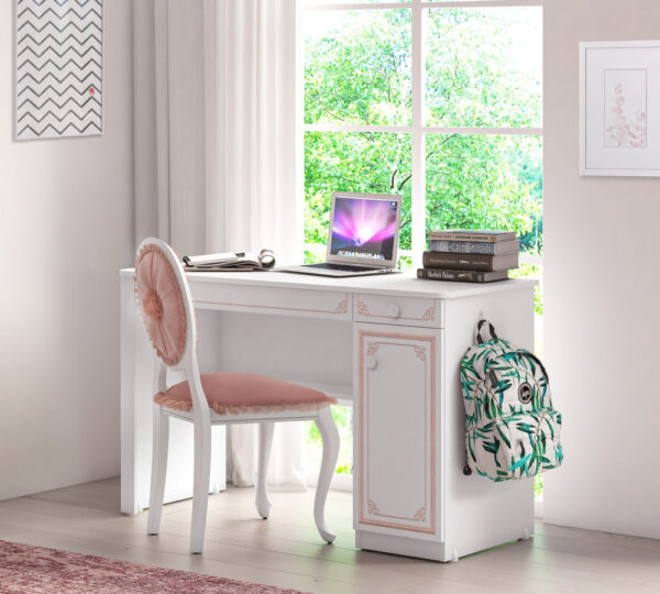 SELENA PINK STUDY DESK